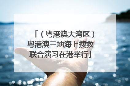 （粤港澳大湾区）粤港澳三地海上搜救联合演习在港举行